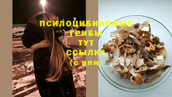 ПСИЛОЦИБИНОВЫЕ ГРИБЫ Покачи