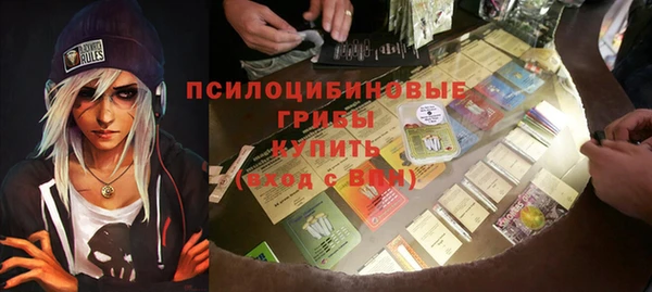 хмурый Корсаков