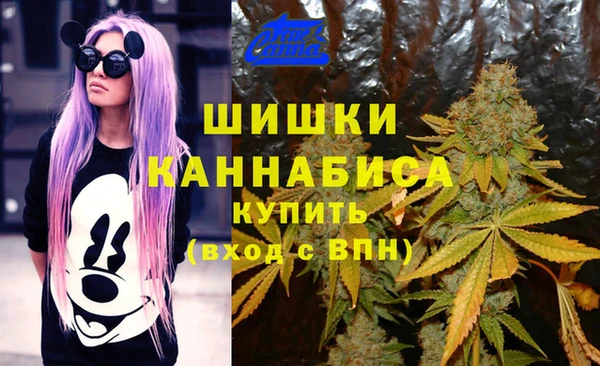 прущая мука Лагань