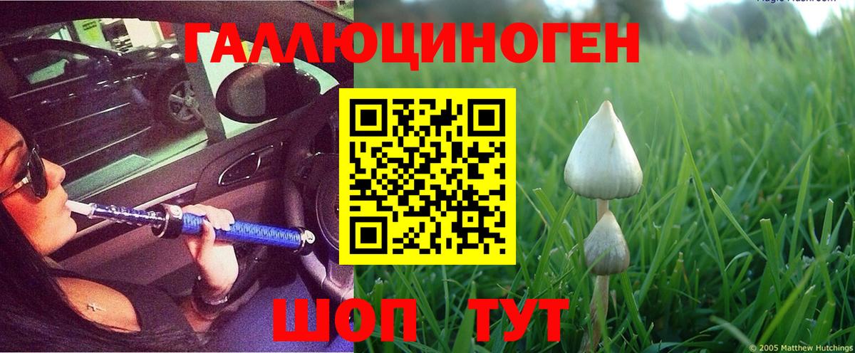 Кингисепп  Галлюциногенные грибы MAGIC MUSHROOMS  Вход с VPN  цена   Псилоцибиновые грибы Psilocybe 