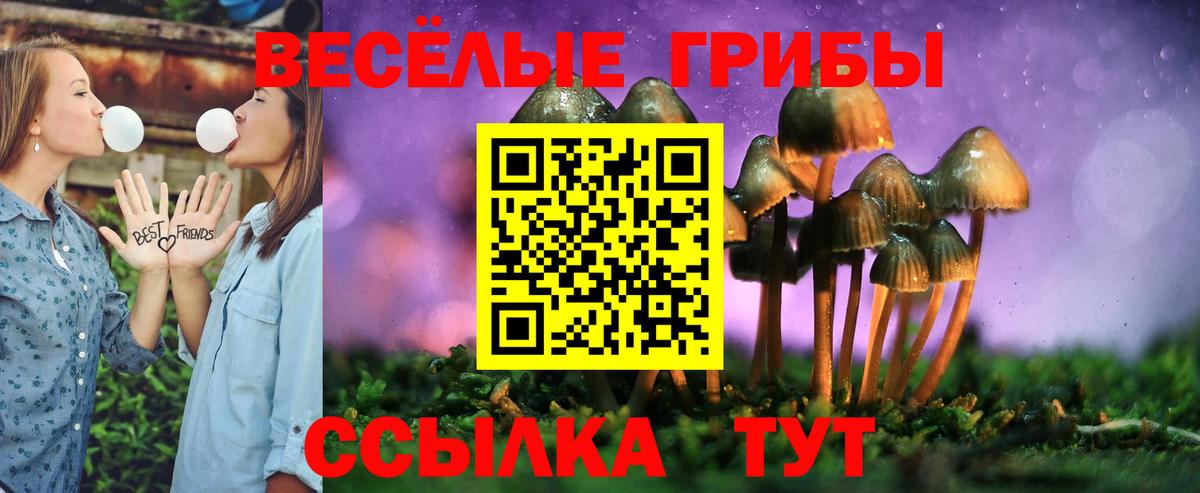 Галлюциногенные грибы мухоморы Кингисепп