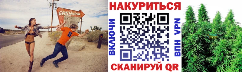 MEGA маркетплейс  Кингисепп  Бошки Шишки THC 21% 